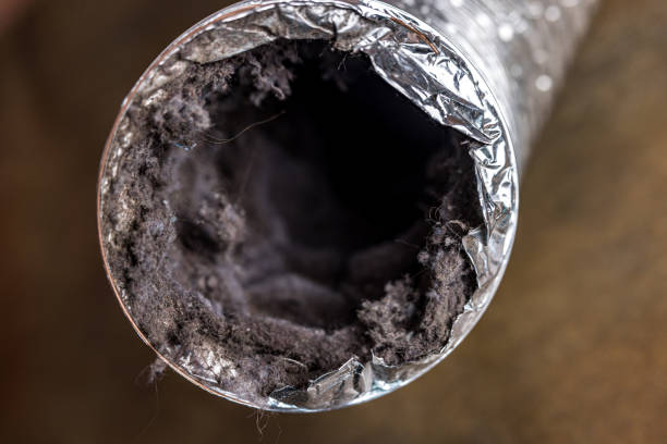 Best Residential Air Duct Cleaning  in Pinetop Lakeside, AZ