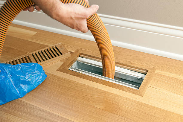 Best Home Air Vent Cleaning  in Pinetop Lakeside, AZ