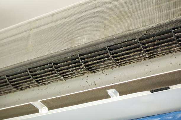 Best HVAC Maintenance and Cleaning  in Pinetop Lakeside, AZ
